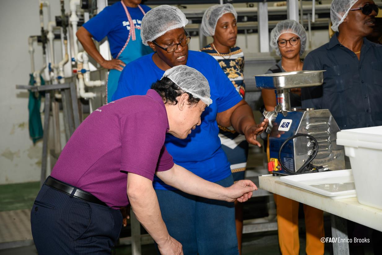 FAO promotes women training in fisheries to face the economic crisis in the Caribbean