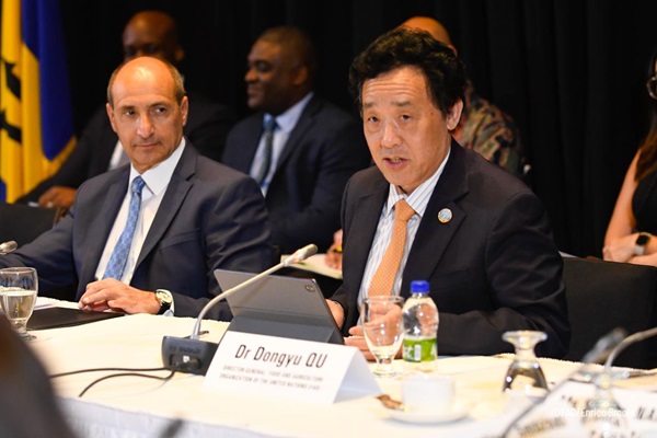 FAO-GLG_Meeting_25093_0047