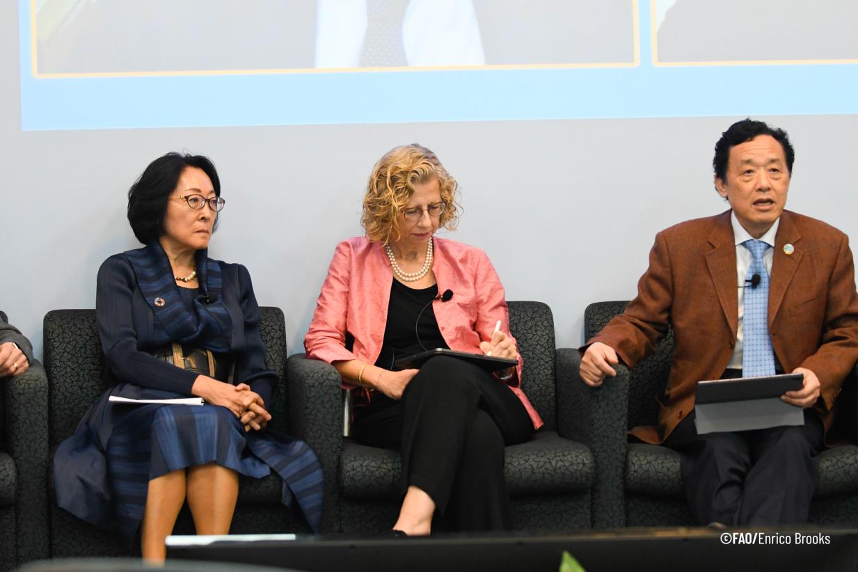 FAO Director-General addresses the launch of the Early Warnings initiative for the Caribbean