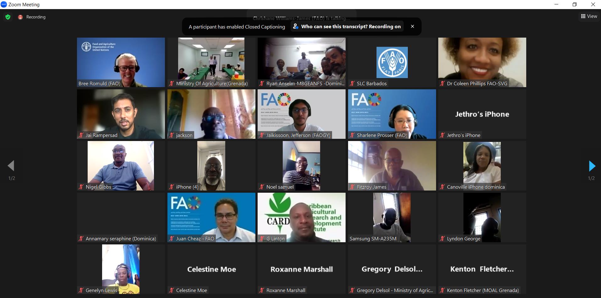 Dominica, Grenada and St Vincent and the Grenadines chart a course for their dasheen value chain