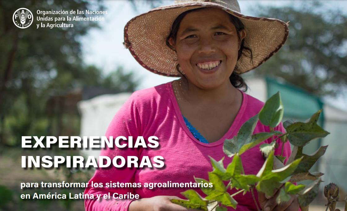 Two initiatives of the Brazil-FAO Cooperation stand out as inspiring experiences