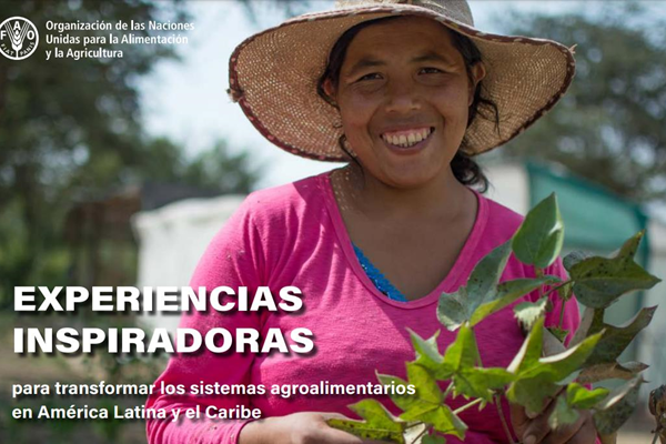fao transforma