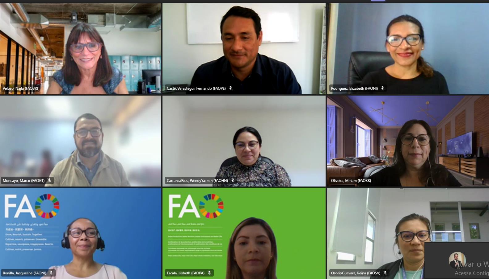 Brazil-FAO Cooperation plans actions in favor of the consolidation of SFPs