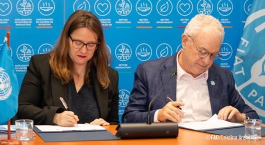 FirmaFAO-ONUMUJERES-UNFPA