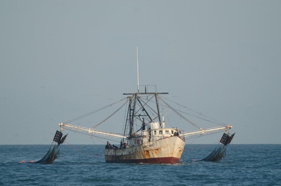 Over 12,000 persons in the Caribbean to benefit from a Shrimp and Groundfish Project