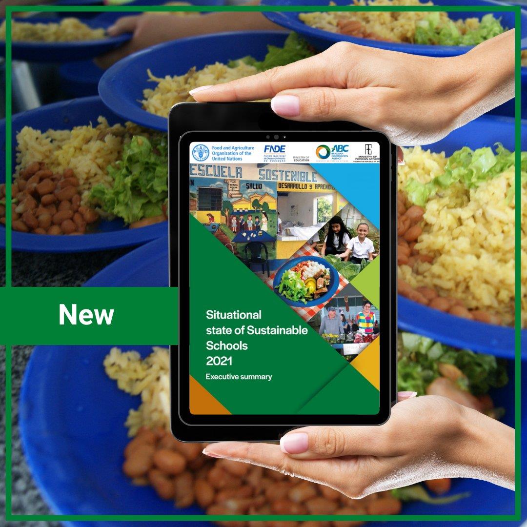 Publication on methodology and achievements of Sustainable Schools is now available in English