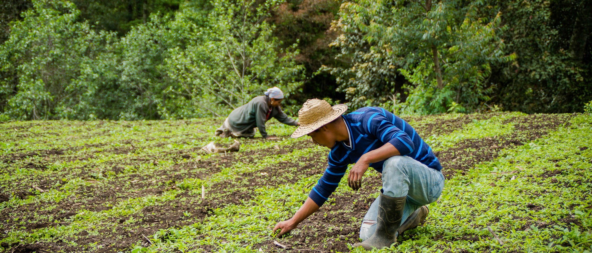 Fondo para el Medio Ambiente Mundial financiará proyectos en 23 países de América Latina y el Caribe