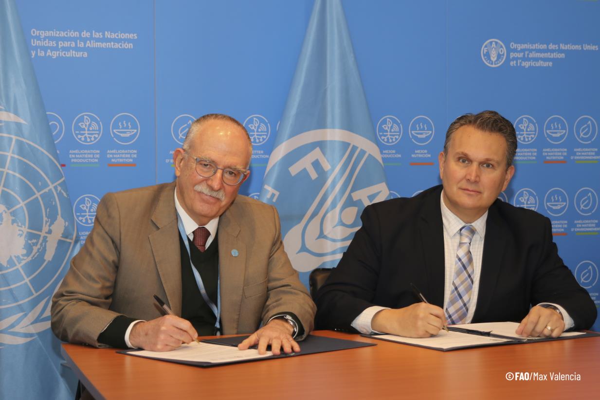 FAO and CGIAR work to further science and innovation in agrifood systems in Latin America and the Caribbean