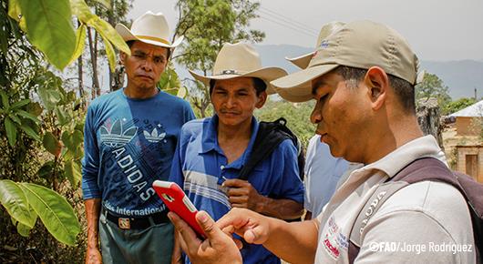 FAO to hold the first virtual fair to address the challenges of the digital transformation of the rural world
