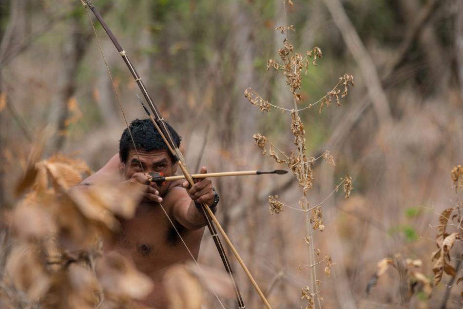 Supporting indigenous peoples to restore the balance between wildlife and food security