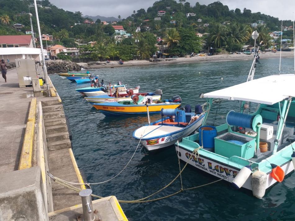 Sustaining the Tuna Value Chain in Grenada