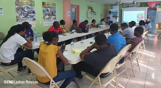 FAO supports training on Saint Lucia’s Updated Farmer Field School Manual