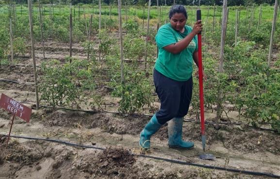 Managing Pests and Preserving Plant Health is Key to Ensuring Food Security