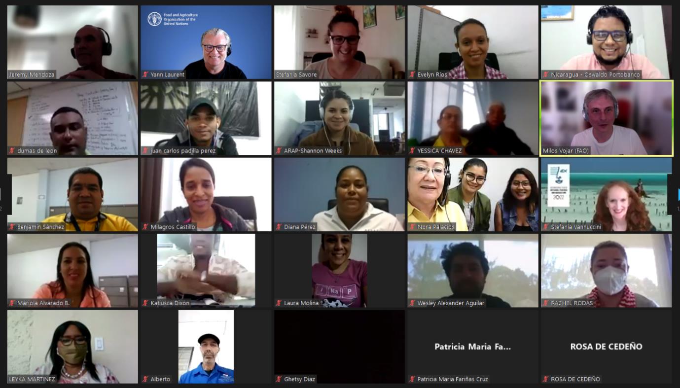 Panama, Belize, El Salvadore, Guatemala and Nicaragua receive first on-line training in fisheries statistics in more than 15 years