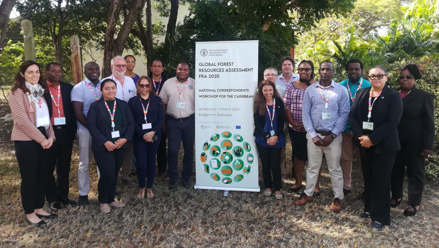 Caribbean countries to kick off the Global Forest Resources Assessment 2025 data collection