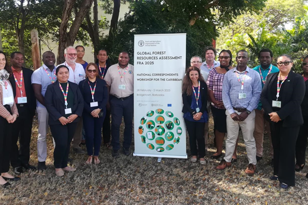 Participants in the Global Forest Resources Assessment 2023- CROPPED PNG