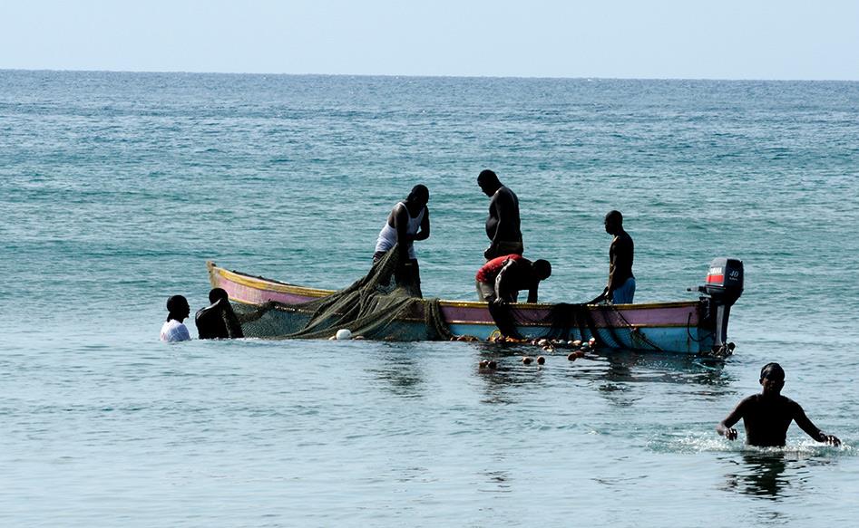 Strategic transformation of the Western Central Atlantic Fishery Commission (WECAFC) tabled for urgent discussion