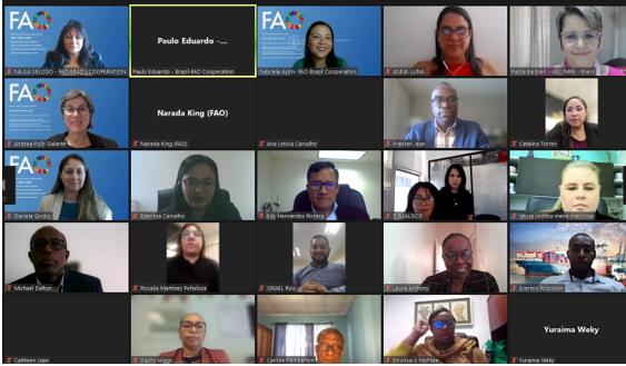 Virtual session discussed public procurement and school gardens