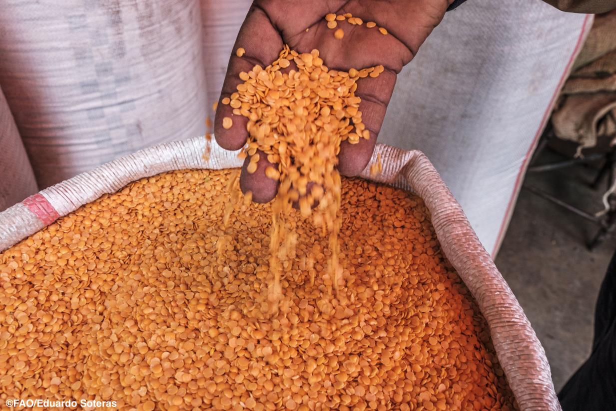 No better time to celebrate World Pulses Day