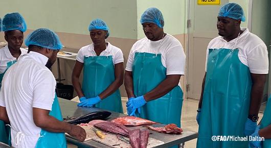Fisher Folk Training to Improve access to Healthy School Meals in Saint Vincent and the Grenadines