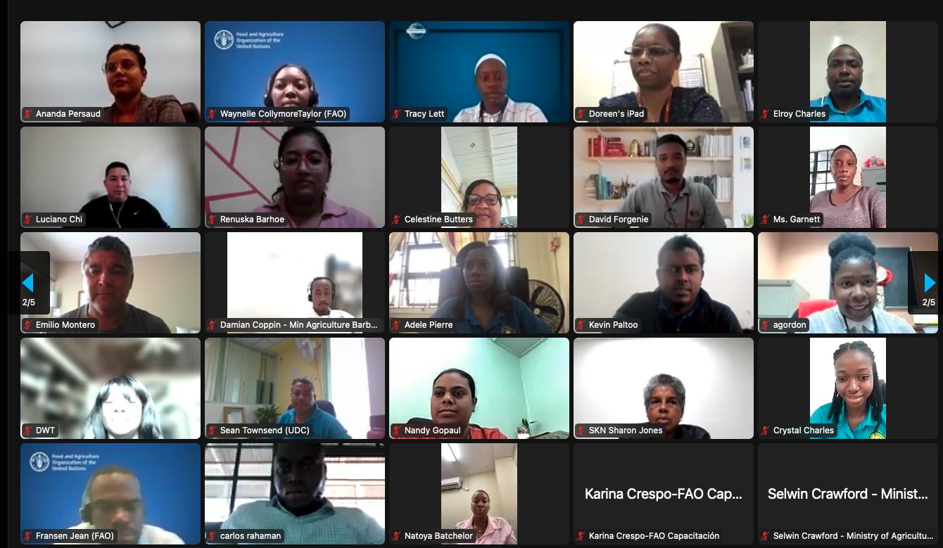 FAO and CARICOM launch virtual course on Agriculture in International Trade Agreements
