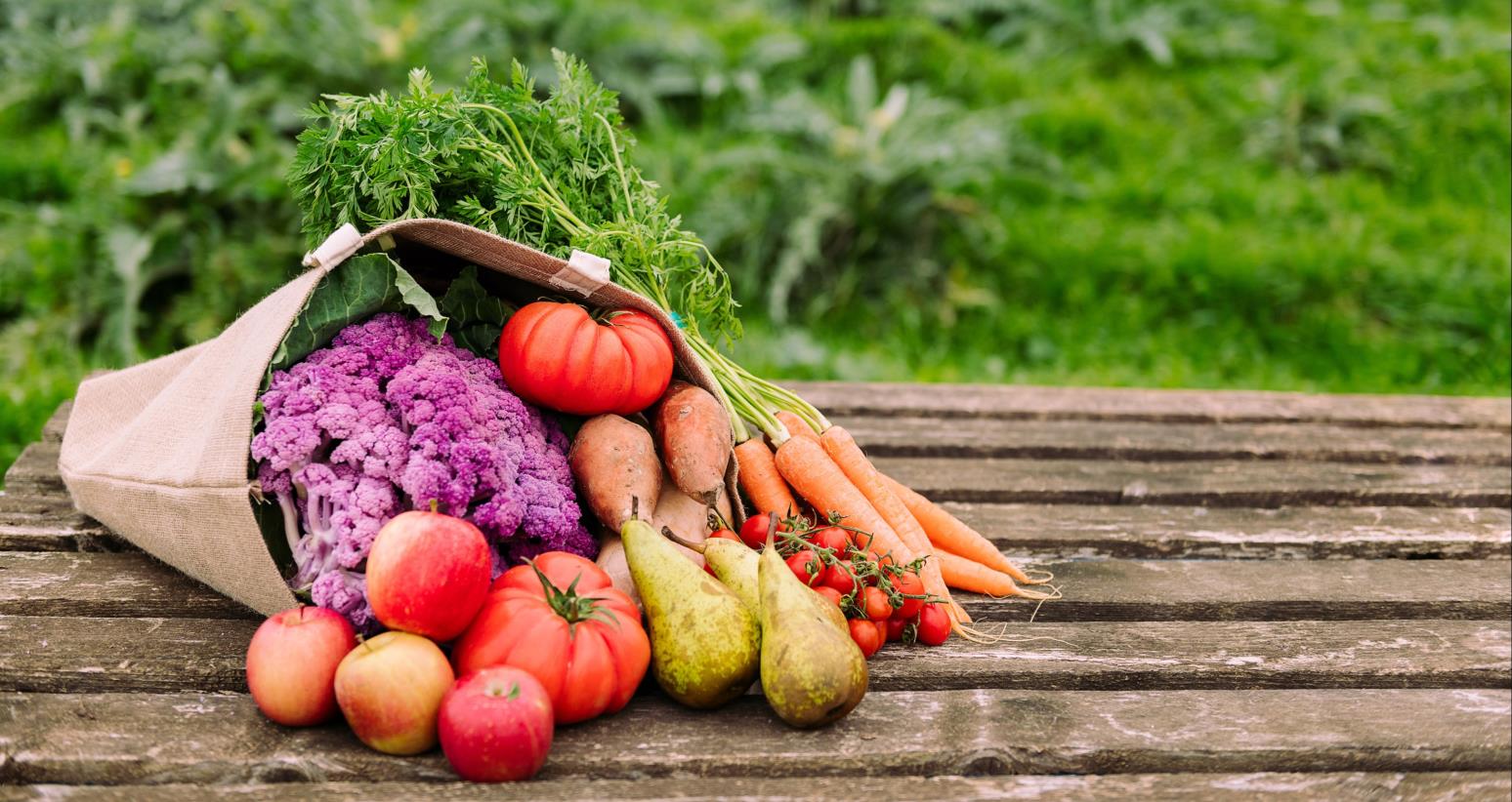 In one year, 4 million people were thrust into hunger in Latin America and the Caribbean