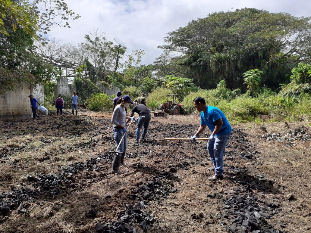 FAO promotes healthy soil as a top priority in the Caribbean