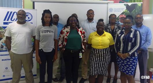 Eight farmers' organizations in Saint Lucia embark on the road to Capacity Building with FAO, IICA and IFAD