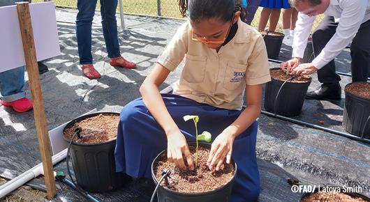 FAO, 4-H Launch School Garden Competition in Trinidad and Tobago