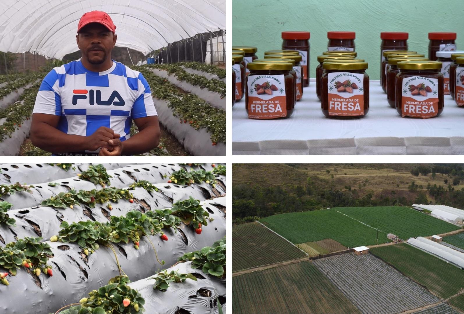 Dominican farming families join efforts and gain access to institutional and private markets
