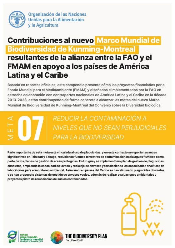 gef 07