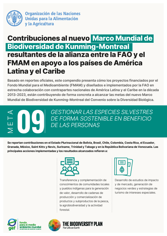 gef 09