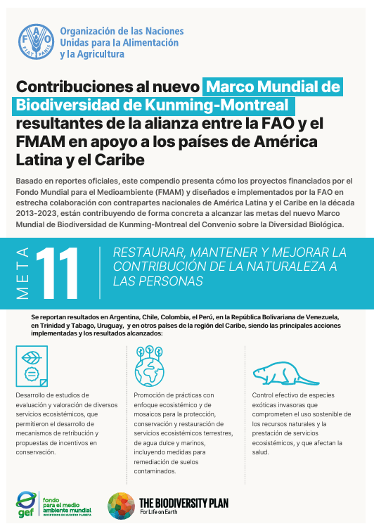 gef 11