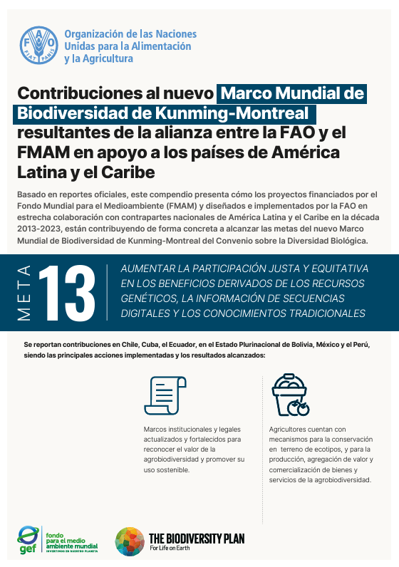 gef 13