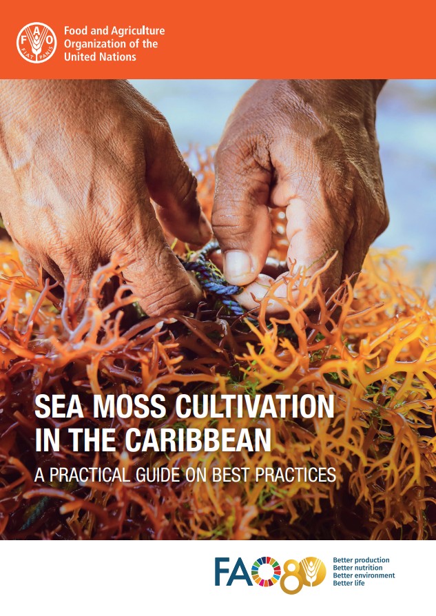 SEA MOSS