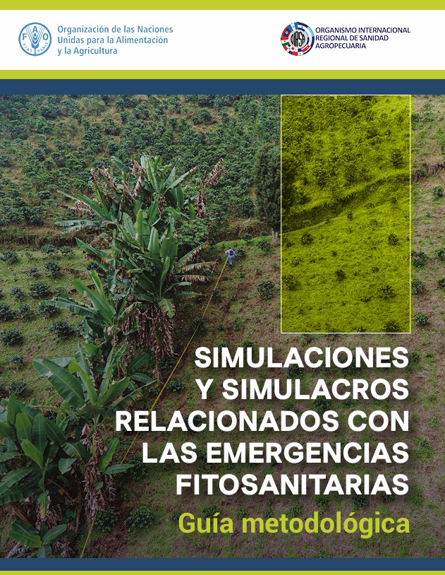 SIMULACIONES
