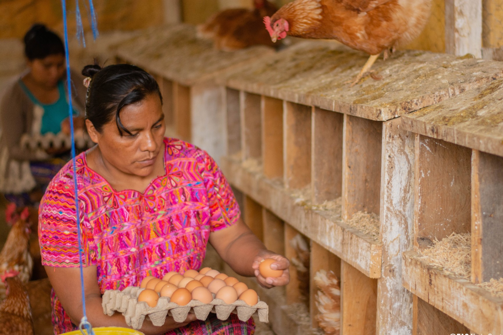 Serie de webinarios Fortalecimiento de capacidades en temas Codex de interés para América Latina y el Caribe