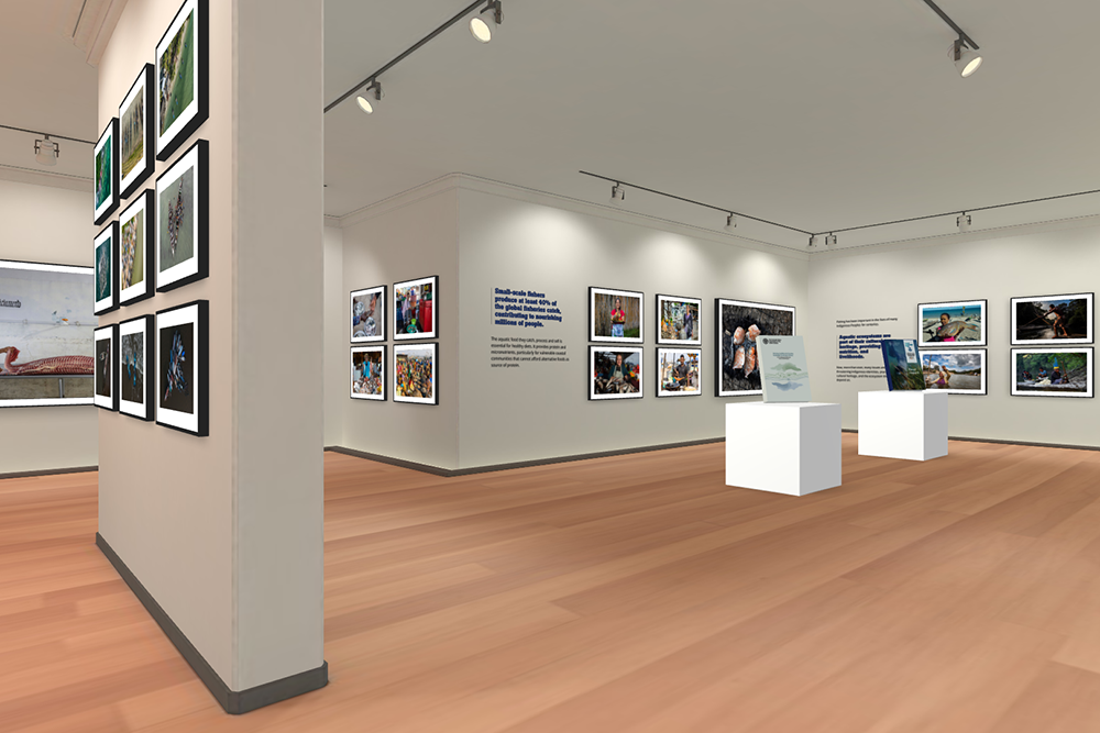 Virtual Exhibition