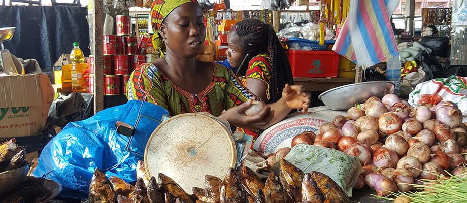 Implementing the SSF Guidelines in Sub-Saharan Africa