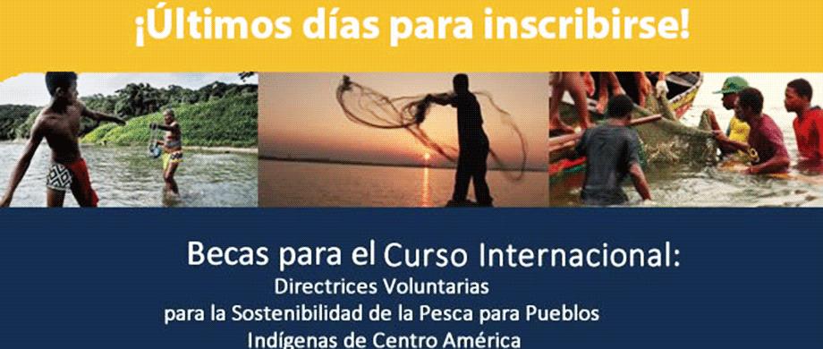 Scholarships for the International Course: "Voluntary Guidelines for the Sustainability of Fishing for Indigenous Peoples of Central America"