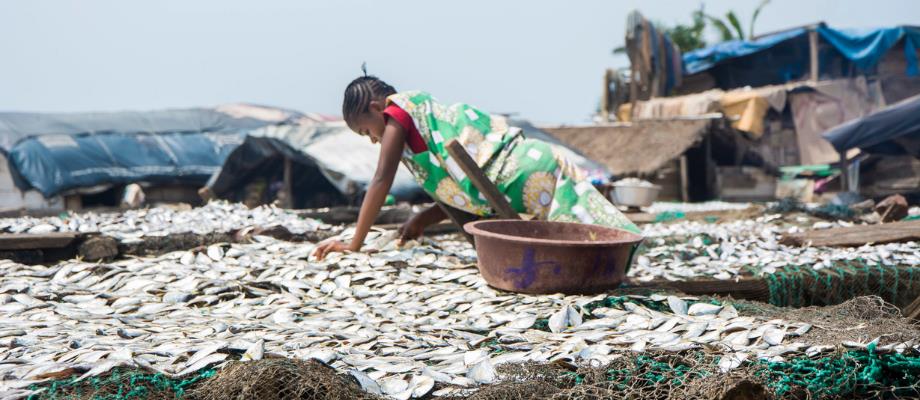Strengthening the participation of women in fisheries and aquaculture