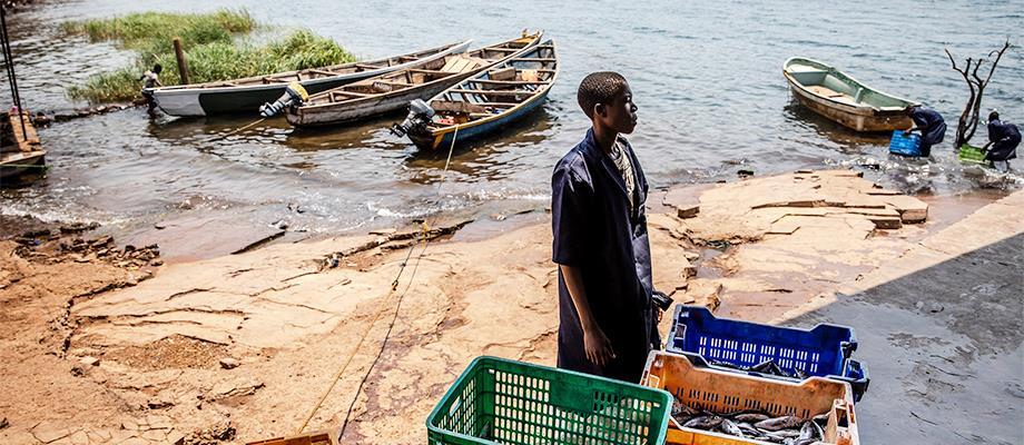 New e-learning course: Governance in small-scale fisheries