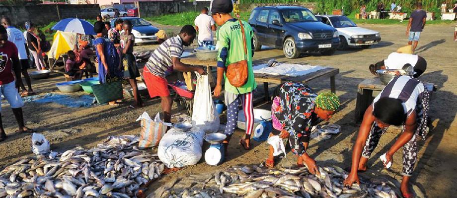 Development of guidelines for micro-finance, credit and insurance for small-scale fisheries in Asia