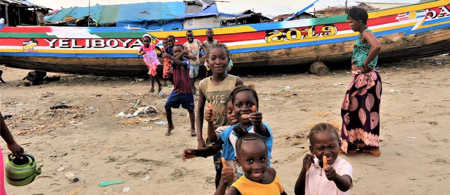 Overview: the role of Non-Governmental Organizations in the implementation of the SSF Guidelines