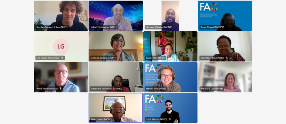 Progress and achievements are presented during the quarterly meeting of the Implementing the Small-Scale Fisheries Guidelines for Gender-Equitable and Climate-Resilient Food Systems and Livelihoods project