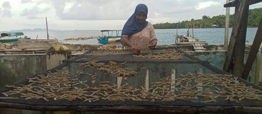 Building co-management for the anchovy fishery and improving local livelihoods in South Misool District of Raja Ampat, West Papua Province, Indonesia