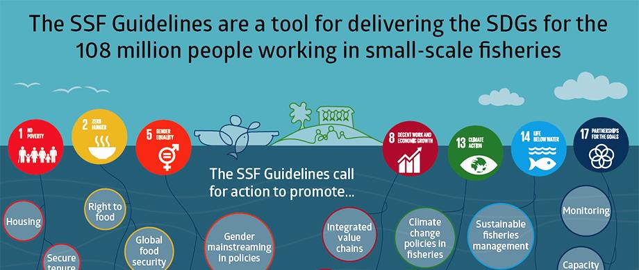 E-learning course: SDG Indicator 14.b.1 - Securing sustainable small-scale fisheries