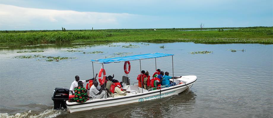 Trainings and distribution of fishing kits promote food security and nutrition to displaced communities in South Sudan